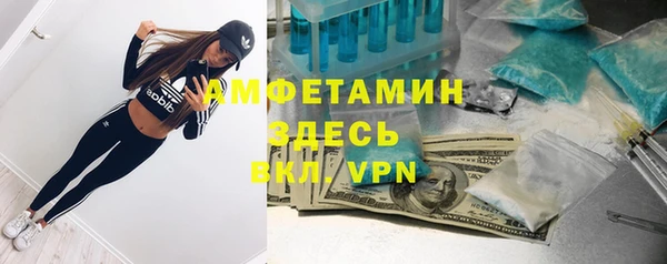 молекула духа Осташков