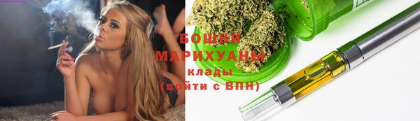 молекула духа Осташков